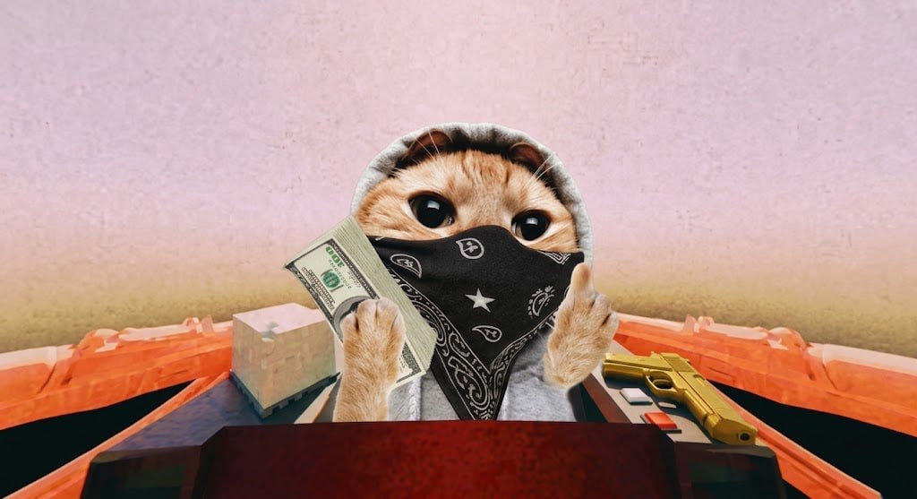 HoodCat in a bandana counting a stack of hundreds in a car boot